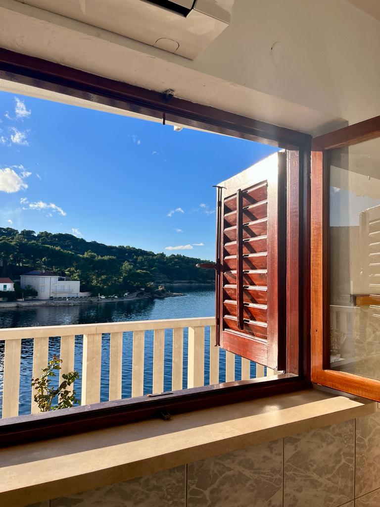 apartament kitchen with a sea view