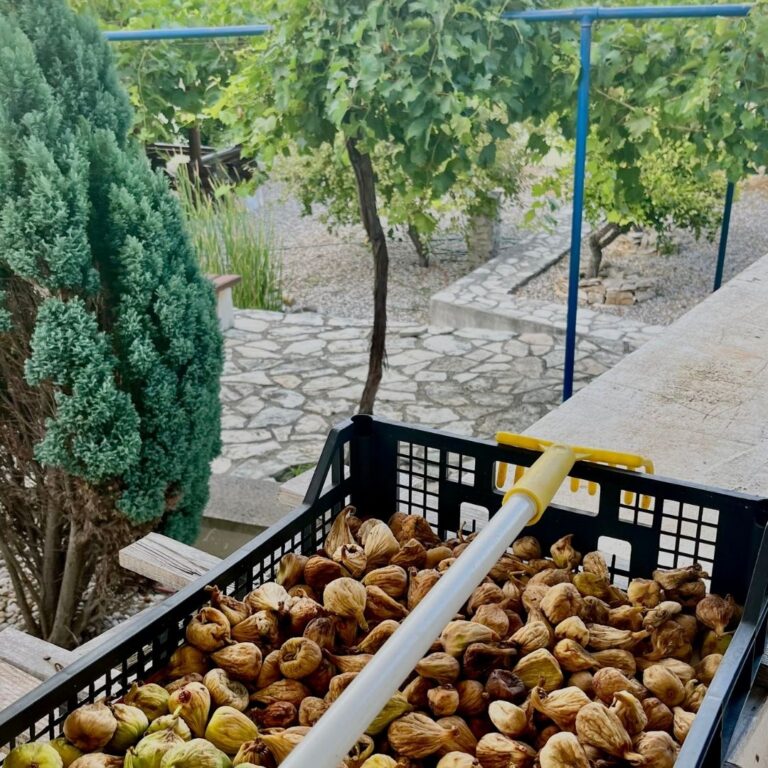 Villa_Last_Chance (21)