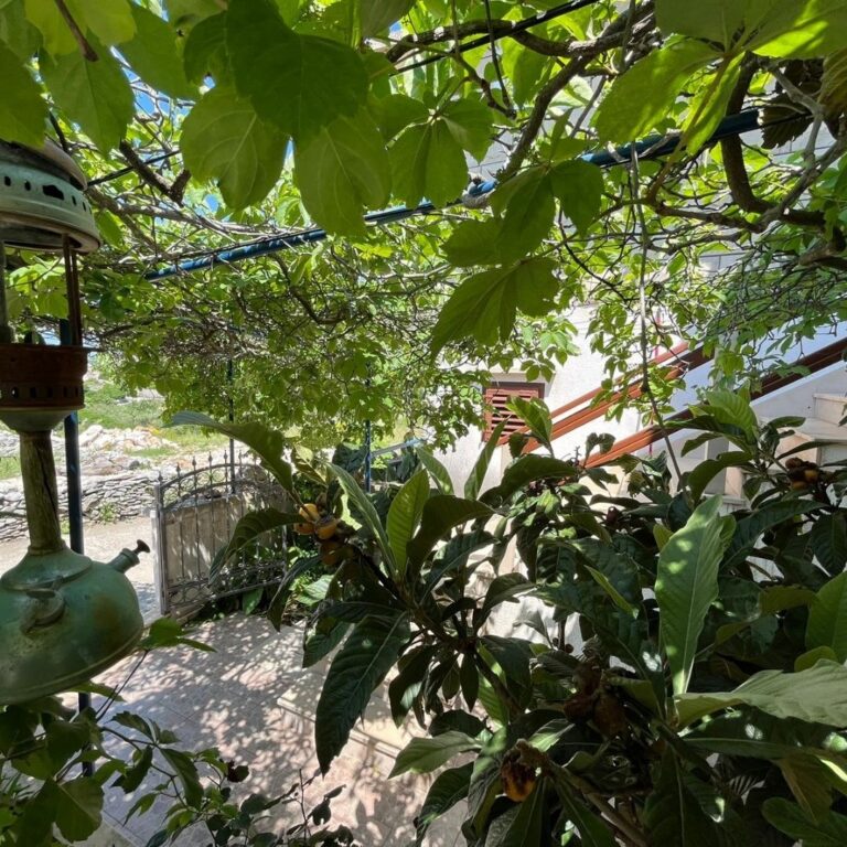 Villa_Last_Chance (24)