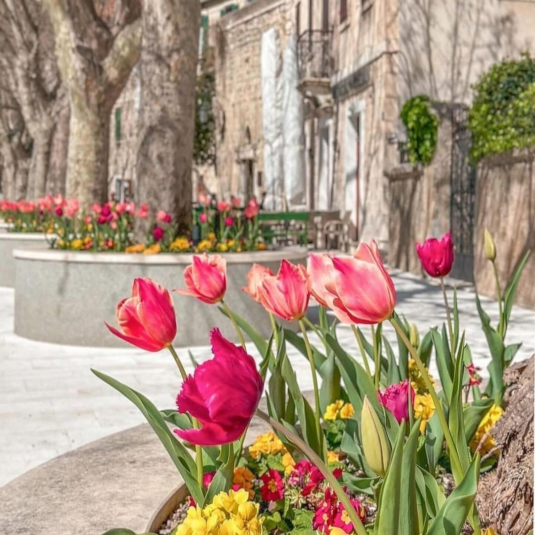 Wycieczka statkiem Omiš & Cetina z Supetar (12)